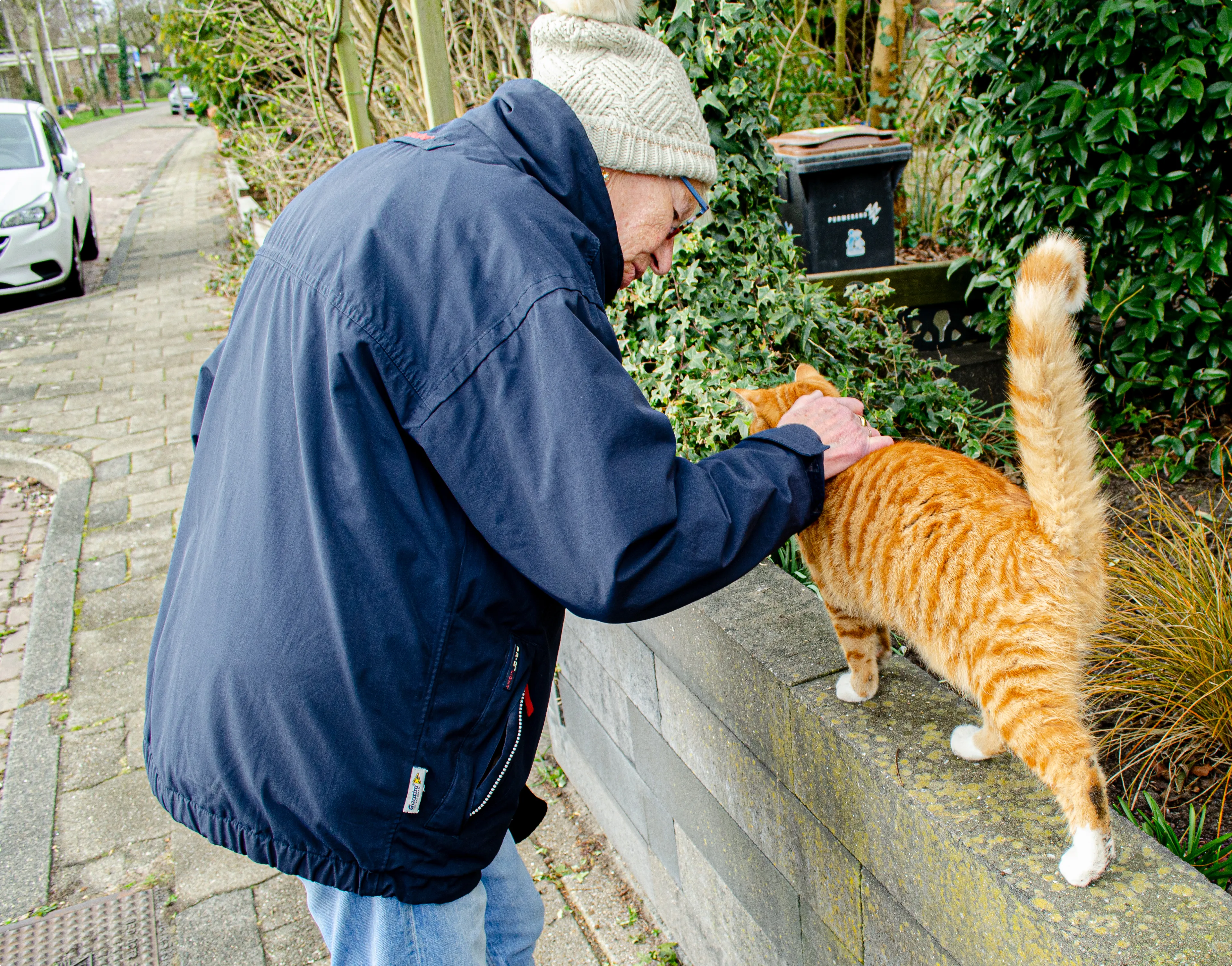 De rode kater in kwestie.