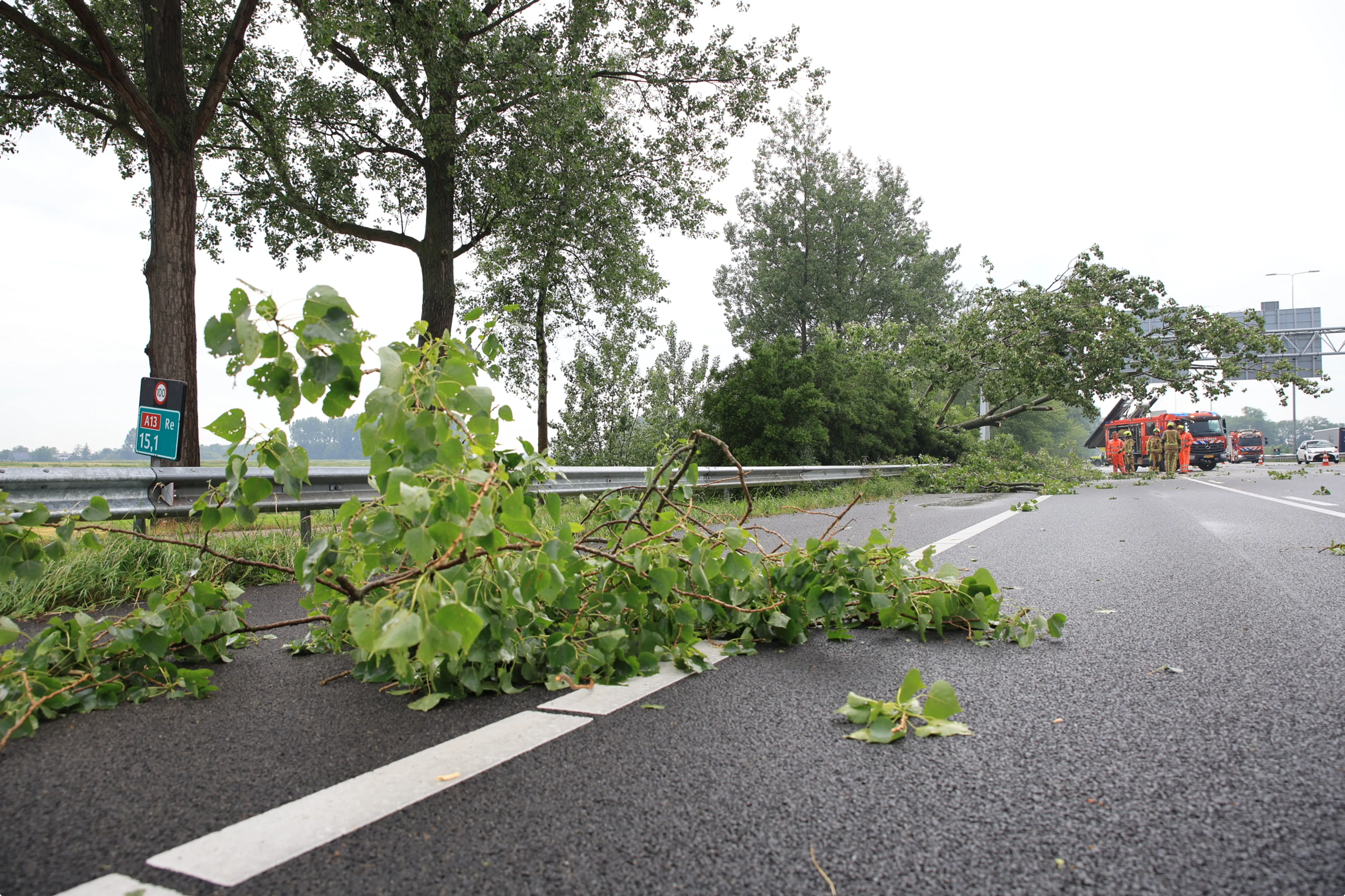 Boom waait belandt op snelweg A13. Foto: District8