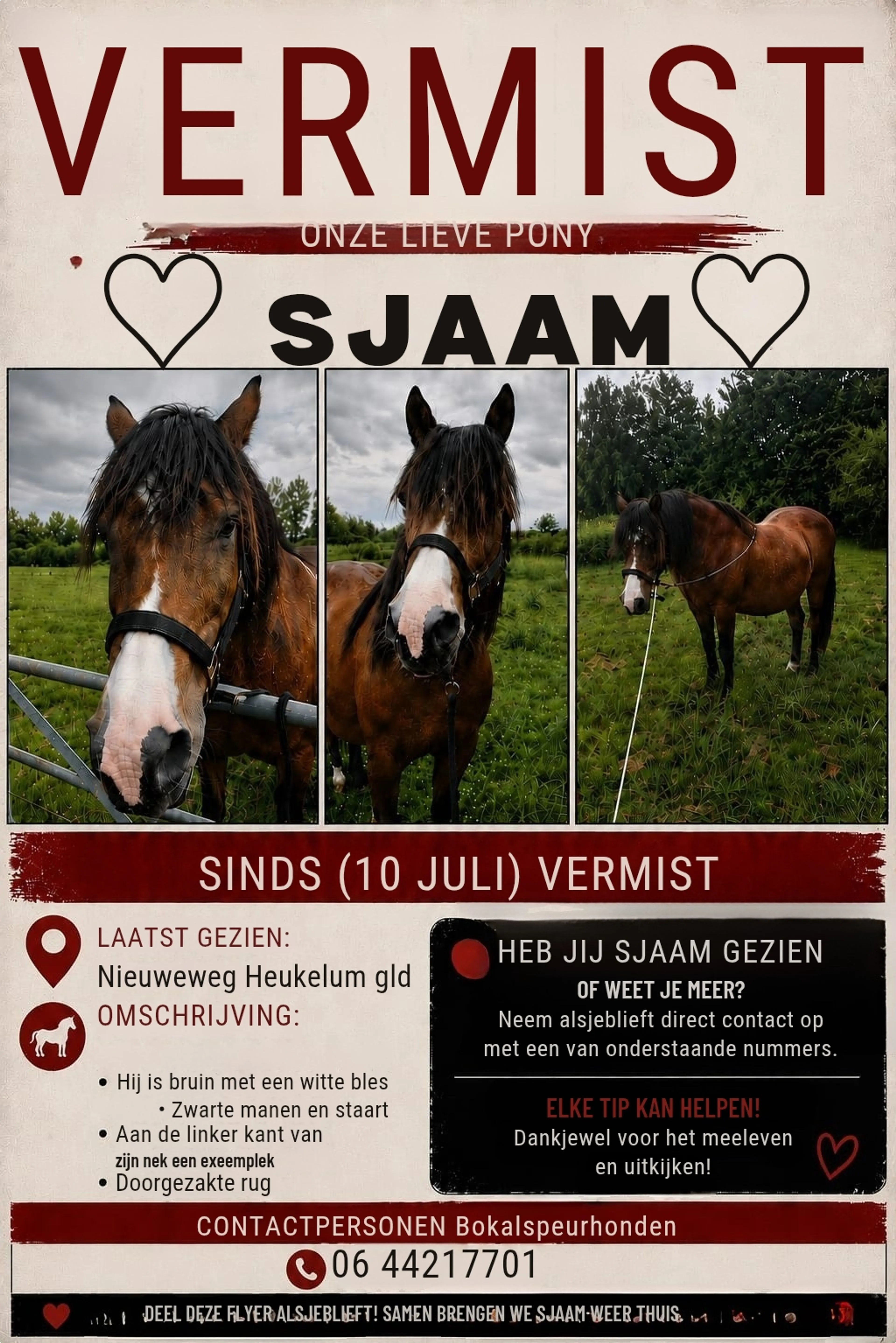 De vermissingsposter van Sjaam.