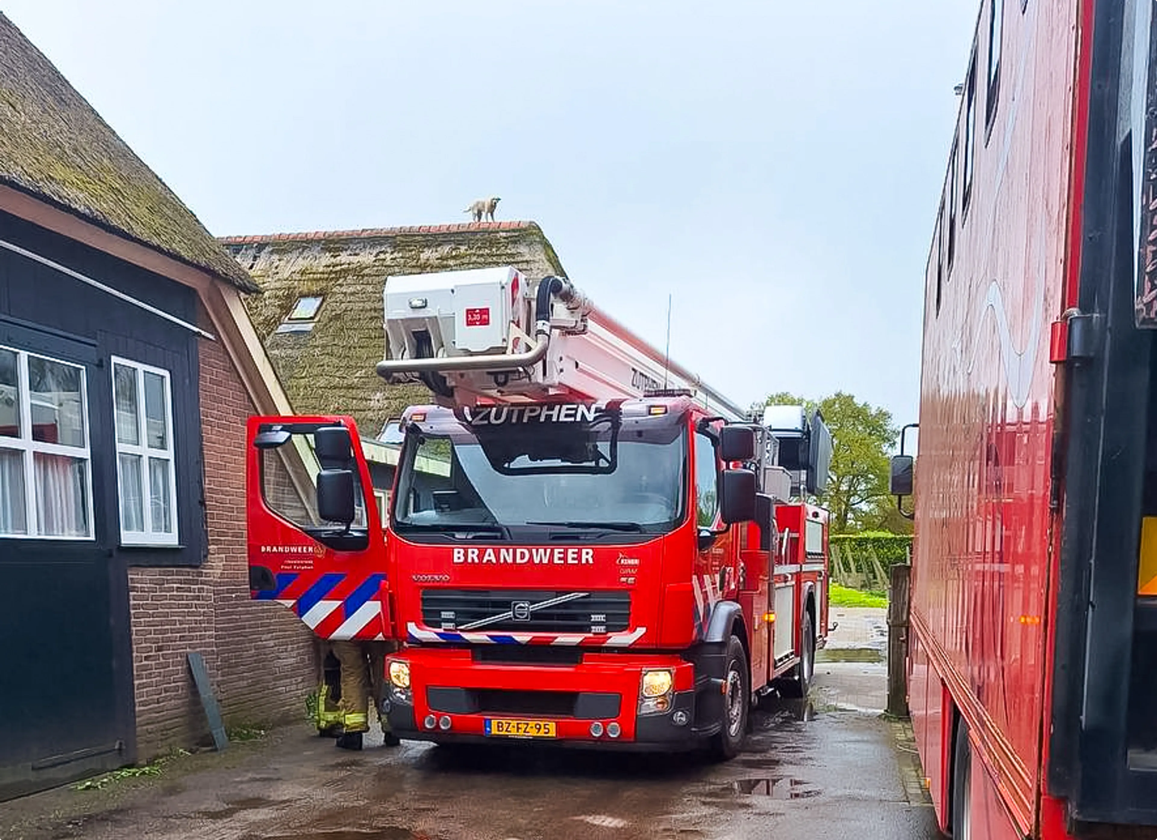 Beeld: Cas Roelvink