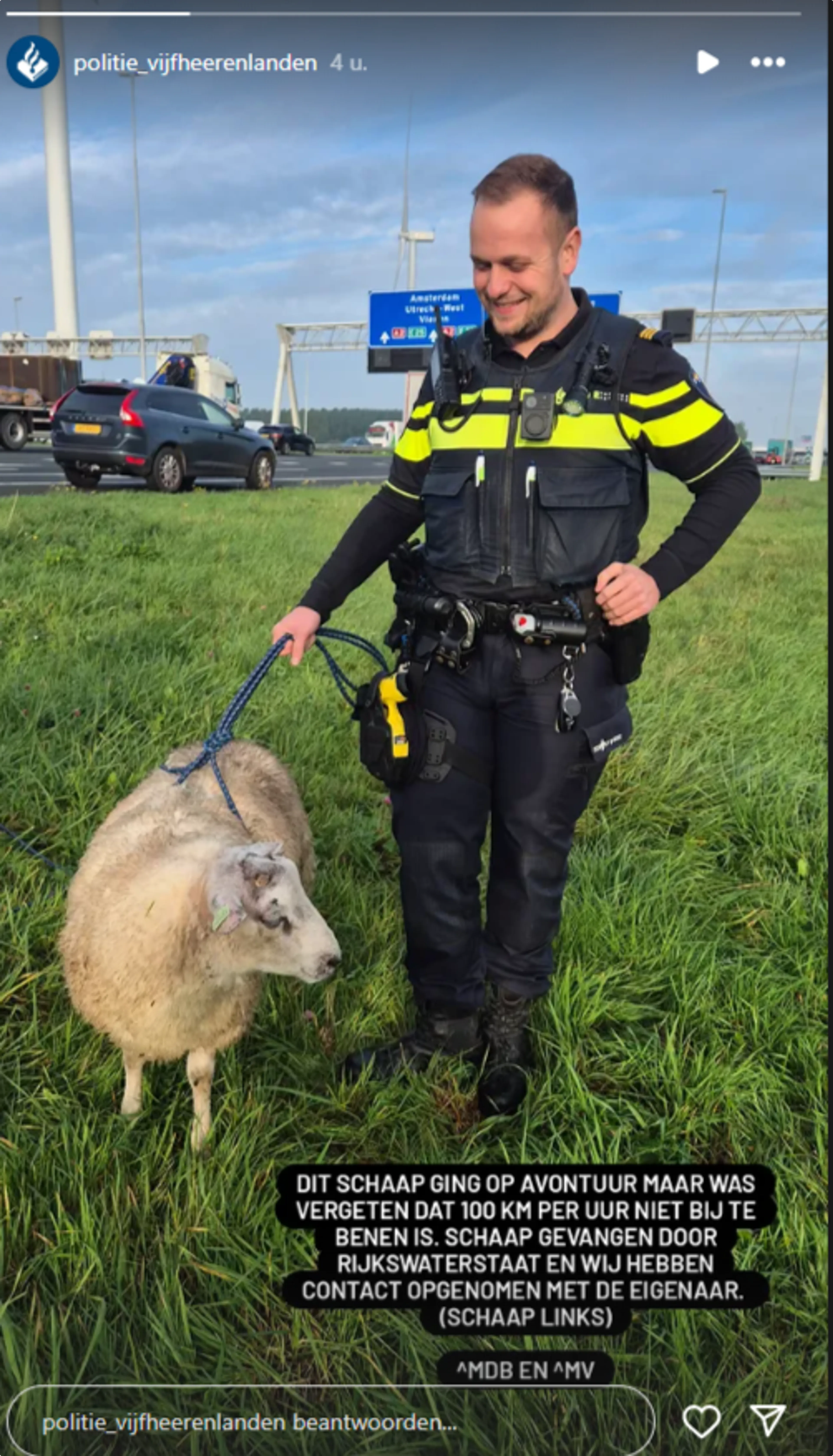 Er is een schaap op de A2 beland, politie Vijfheerenlanden heeft hier een Instagram story over gemaakt.