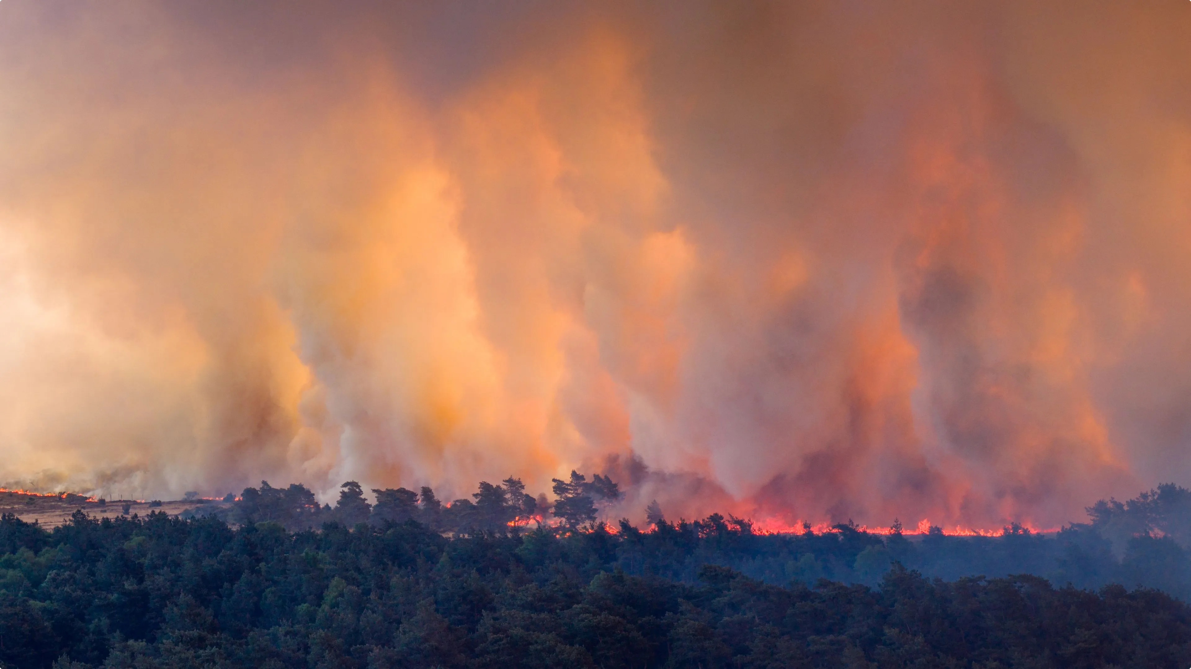 Een gebied van 500 hectare staat in brand. Foto: ANP