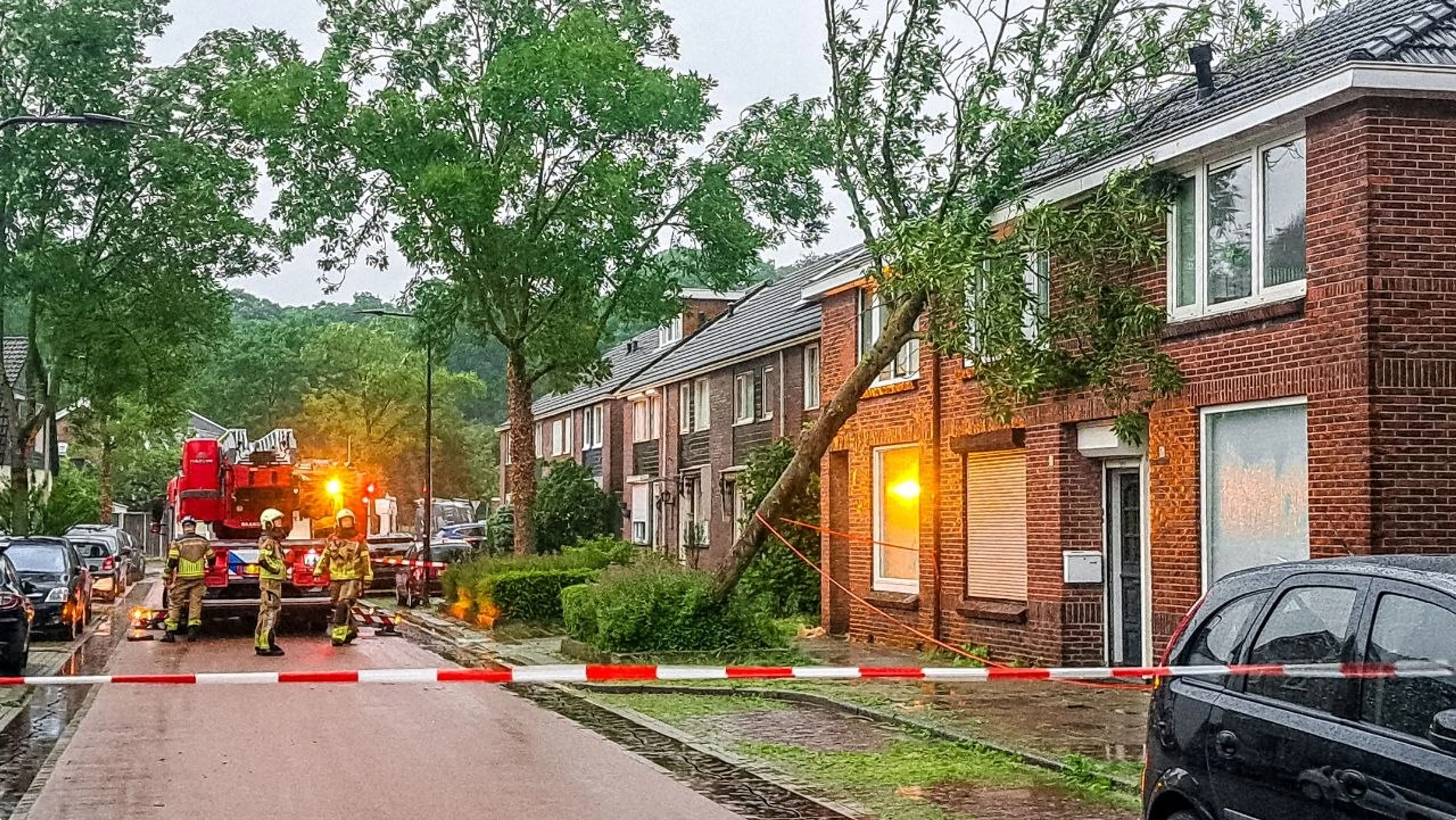 Bomen op huizen in Enschede. Foto: SPS Media