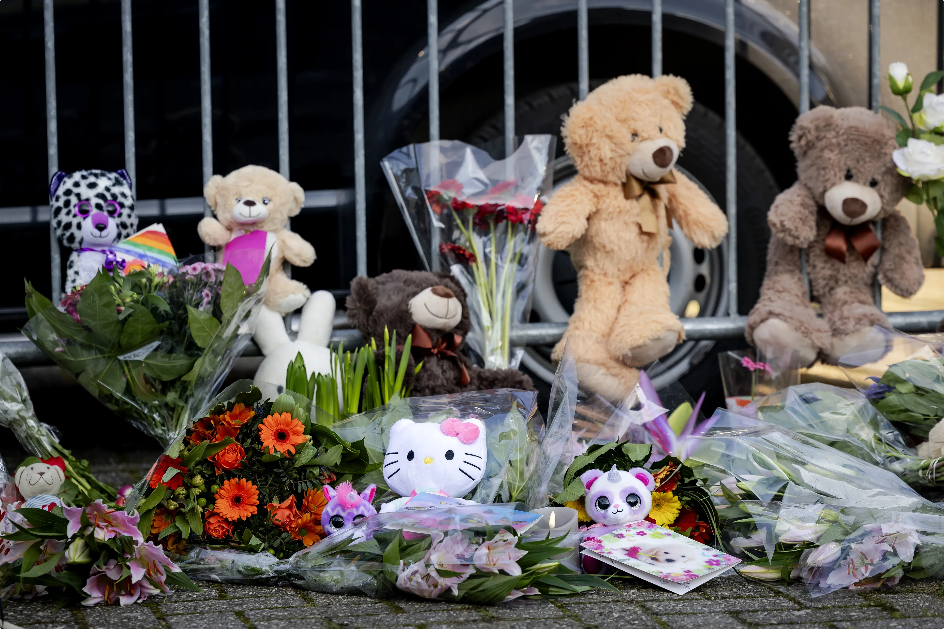Beeld: ANP