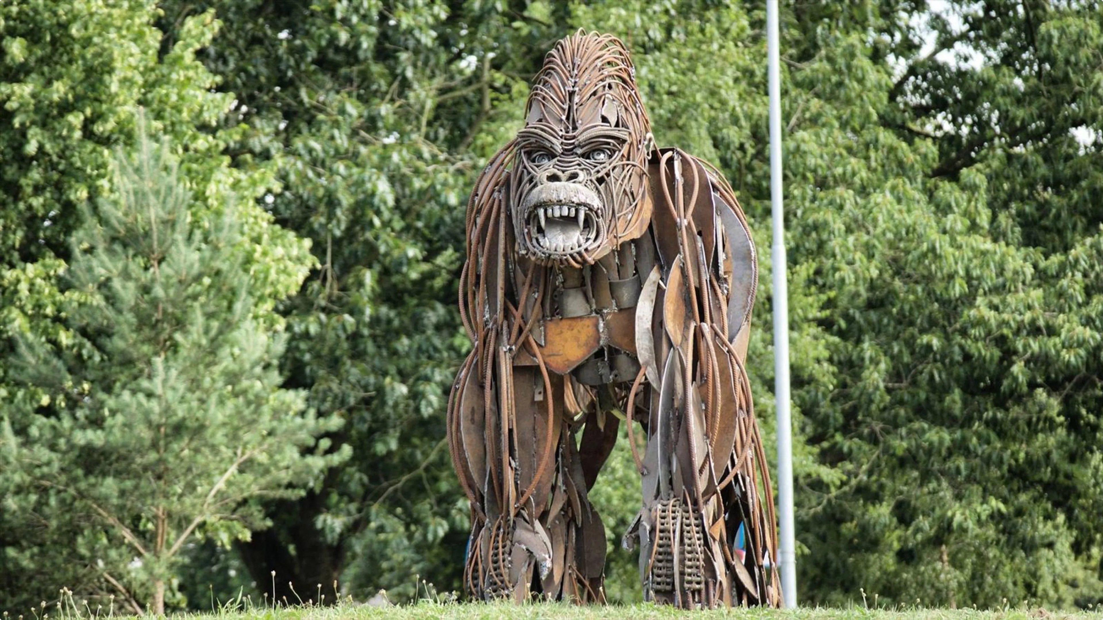 Het beeld van de Gorilla. Foto: Ton Pors