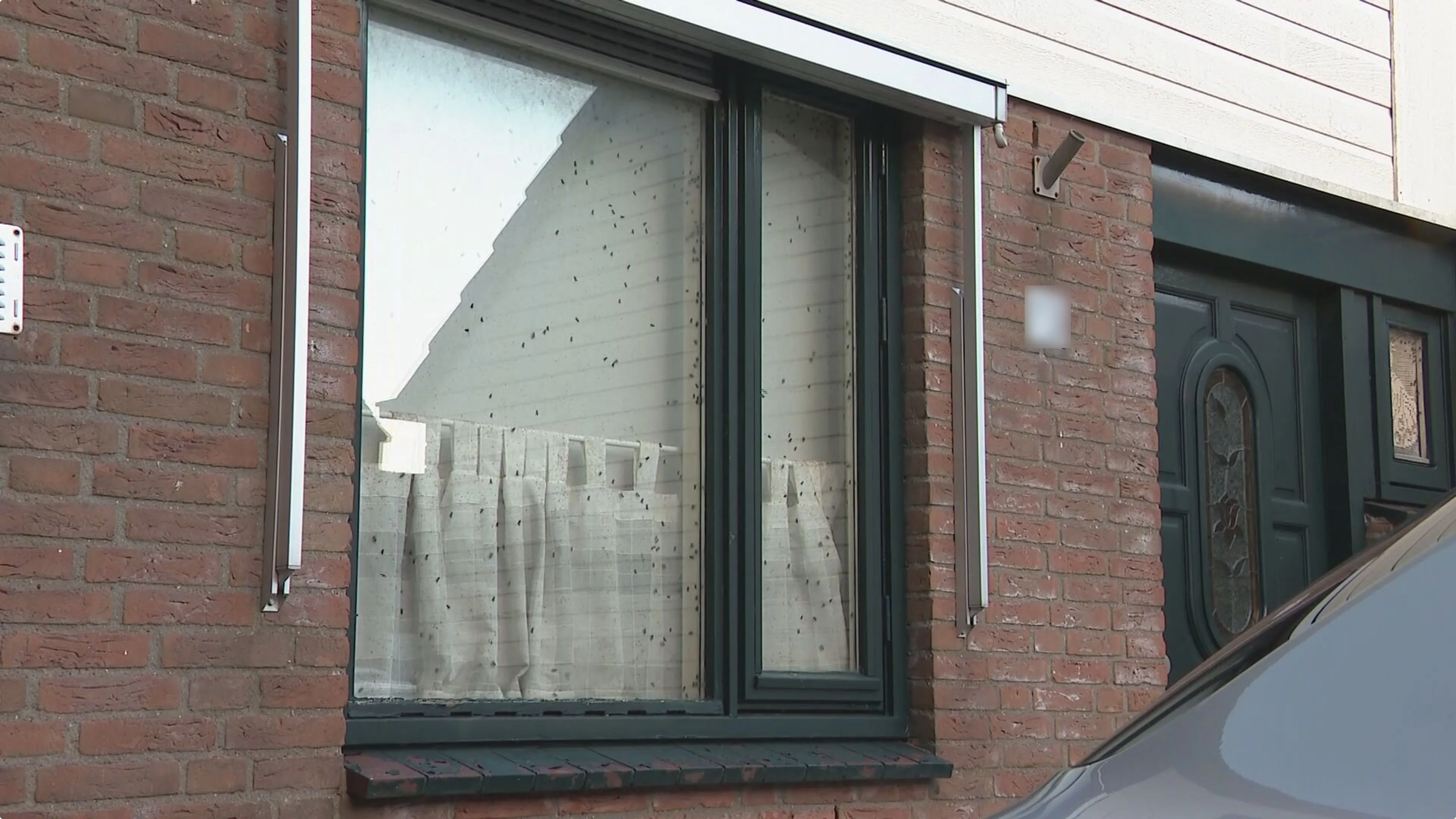 Wartelstraat 
