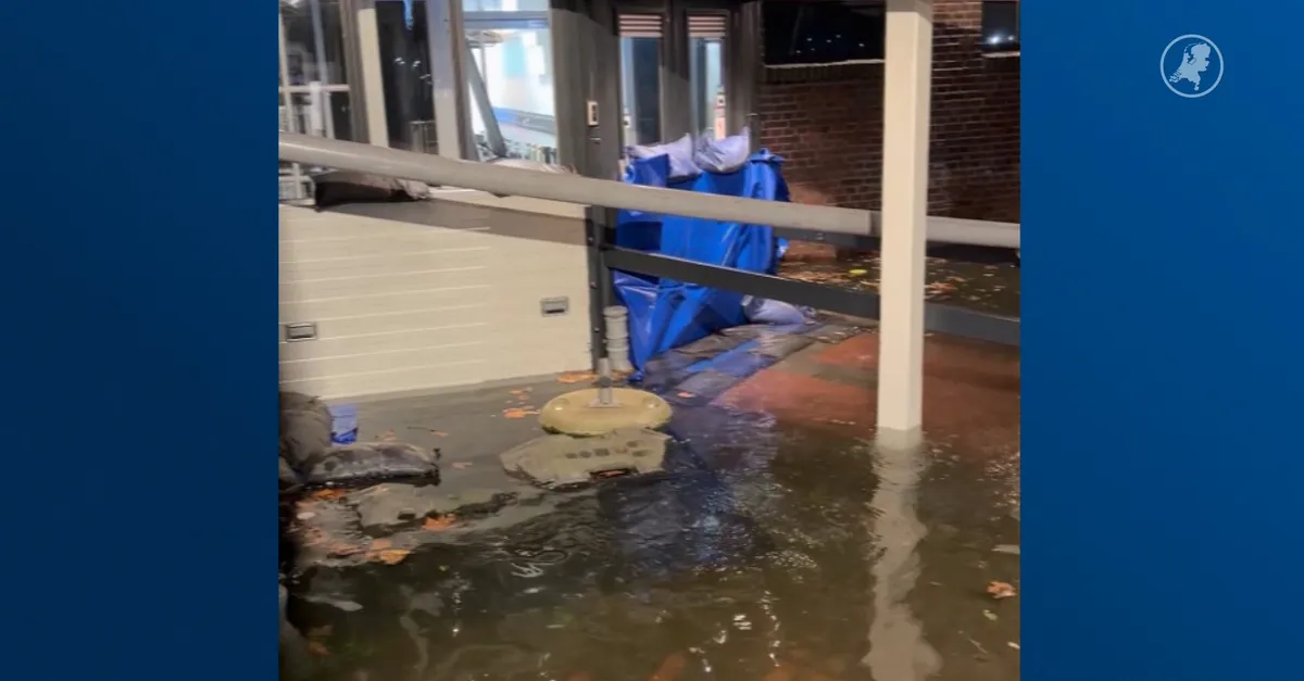 Hart van Nederland - Late Editie: Opnieuw wateroverlast in Vlaardingen: water 40 centimeter boven ka
